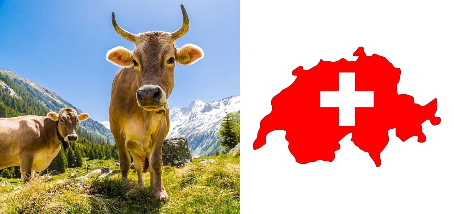 Schweizer Fleisch kaufen