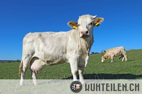 Nachhaltigkeit hört nicht bei der Produktion auf