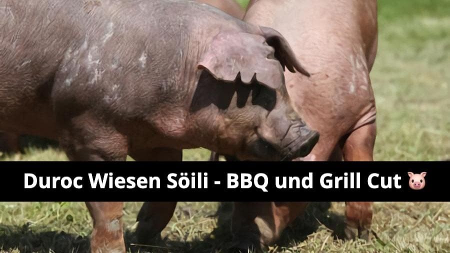 Das «Wagyu» unter den Söili ist zurück...