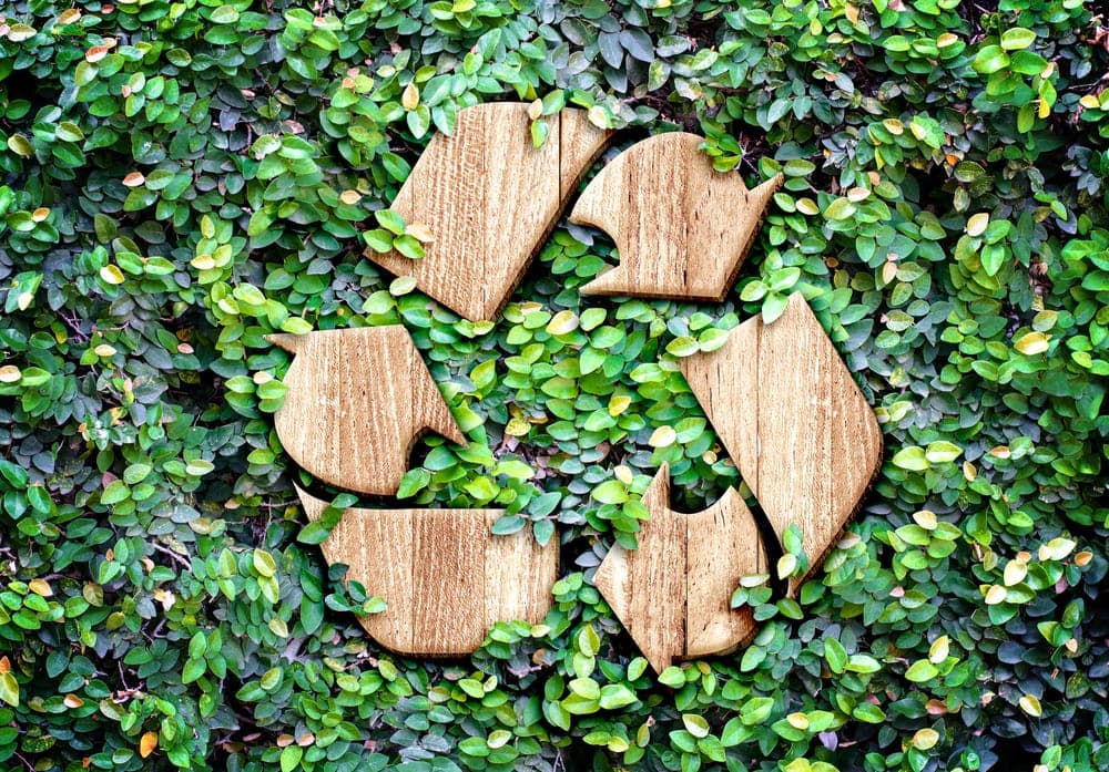 Unsere Kühlboxen und die Umwelt