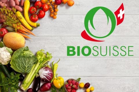 Bio vs. Konventionell – Die Unterschiede auf einen Blick