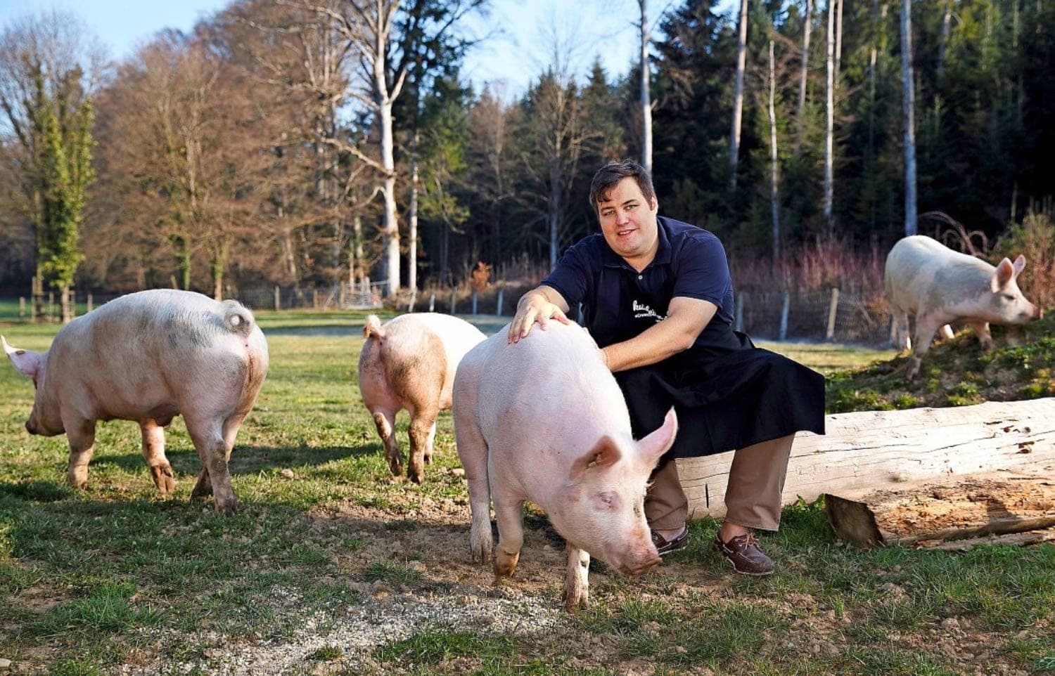 Tiere teilen liegt im Trend